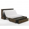 Night and Day Ranchero Wildwood Brown Murphy Cabinet Bed Open
